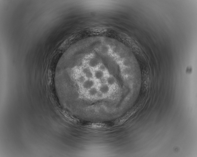 X0000096450758200802211234