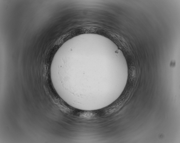 X0000096450759200802211234