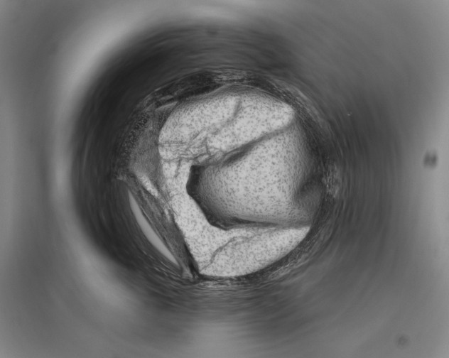 X0000096450763200802211234