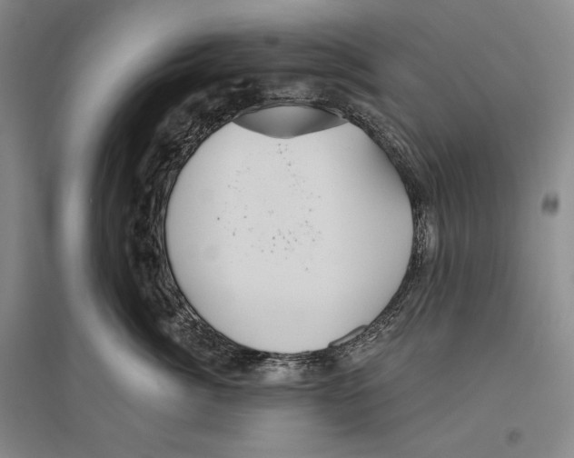 X0000096450764200802211234