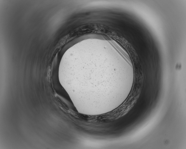 X0000096450766200802211234