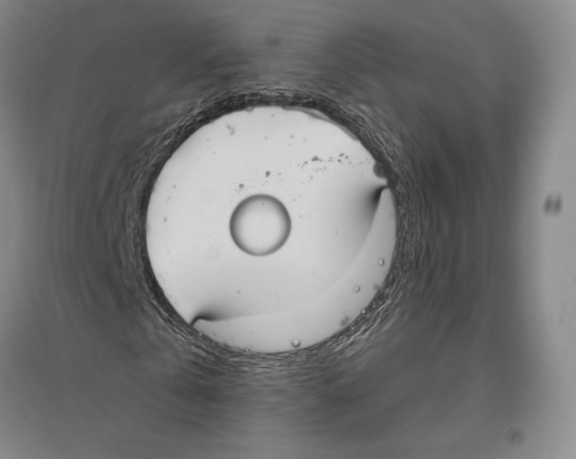 X0000096450769200802211233