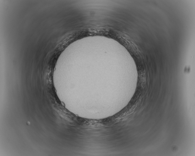 X0000096450770200802211233