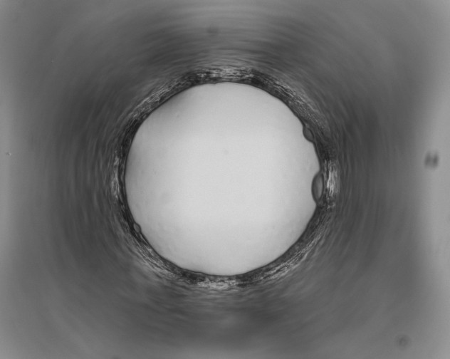 X0000096450771200802211233