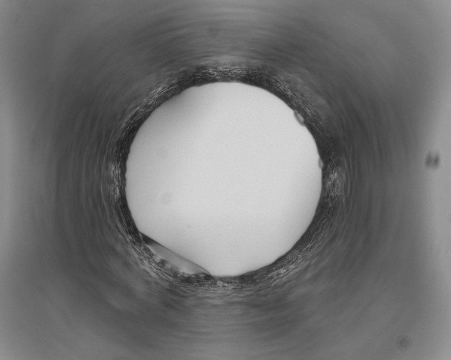 X0000096450772200802211233