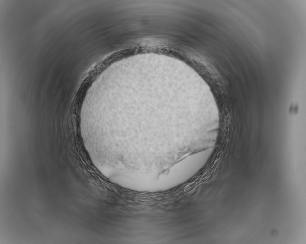 X0000096450776200802211233