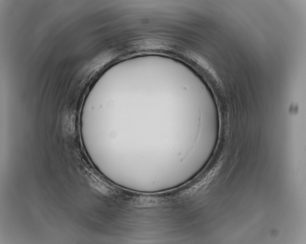 X0000096450777200802211233