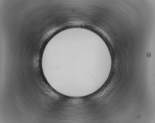 X0000096450778200802211233