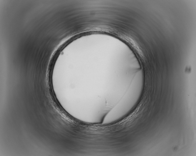 X0000096450780200802211233