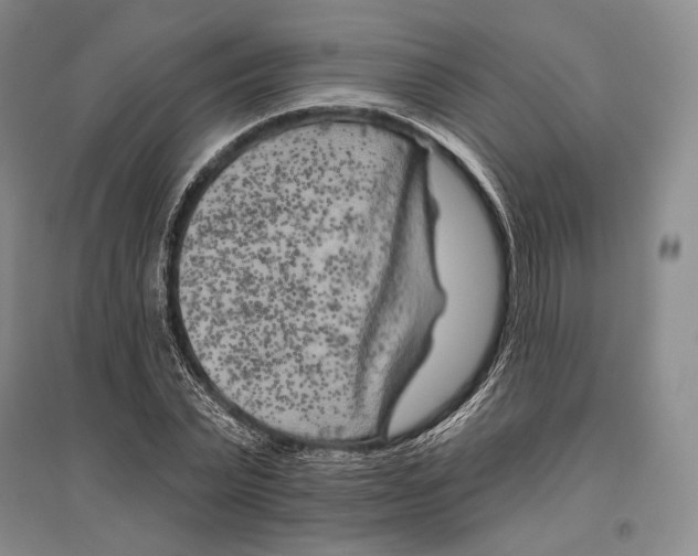 X0000096450783200802211233