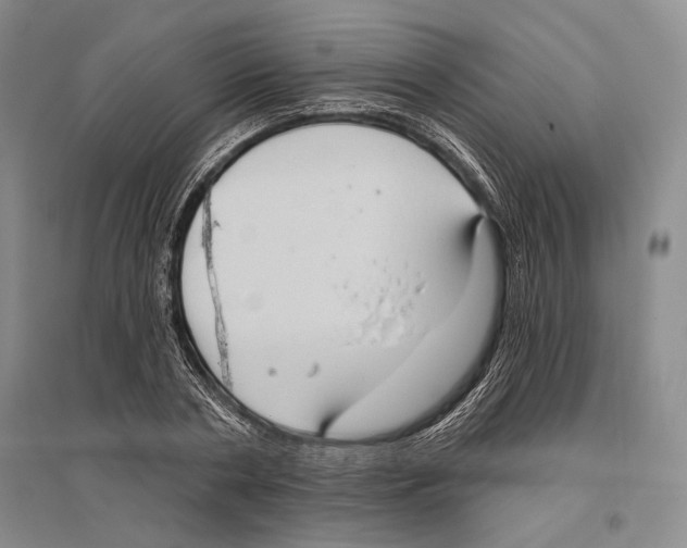 X0000096450786200802211233