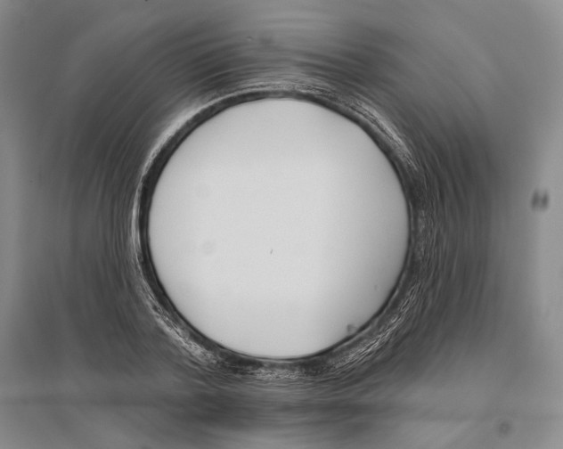 X0000096450788200802211233