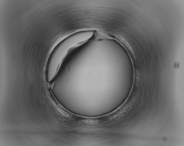 X0000096450789200802211233