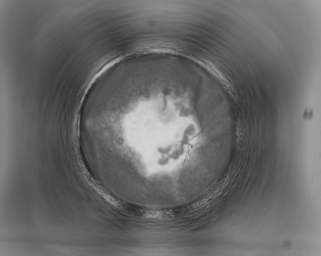 X0000096450790200802211233