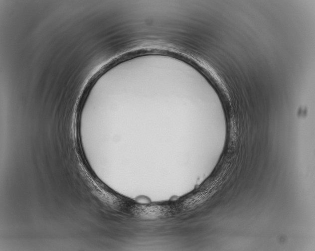 X0000096450791200802211233