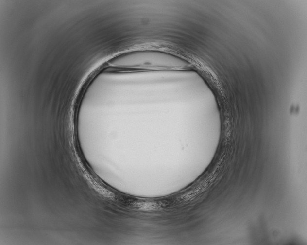 X0000096450792200802211233