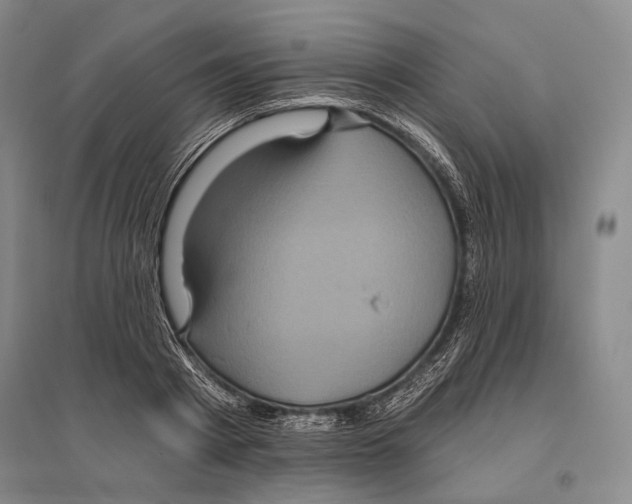 X0000096450793200802211233