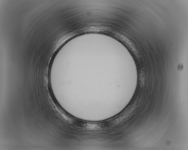 X0000096450794200802211233