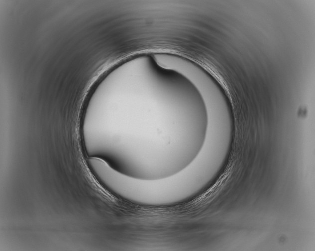 X0000096450797200802211233