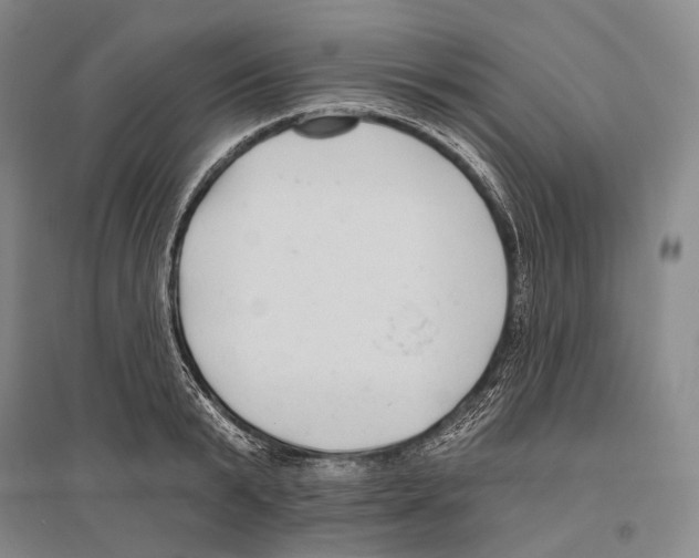 X0000096450799200802211233