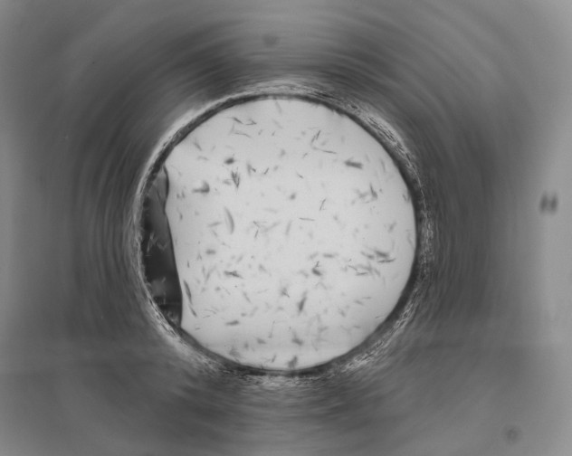 X0000096450800200802211233