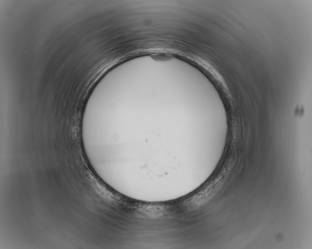 X0000096450801200802211233