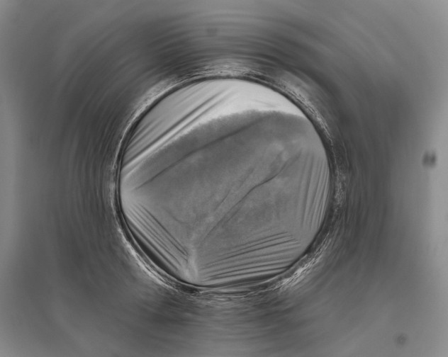 X0000096450802200802211233