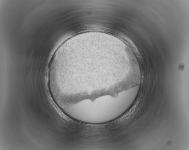 X0000096450804200802211233