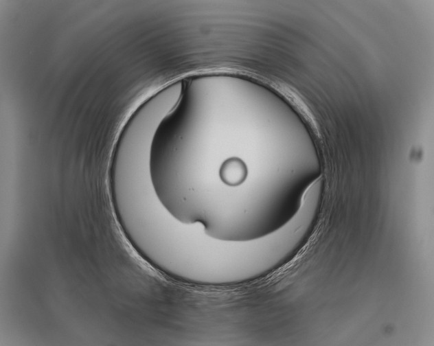 X0000096450805200802211233