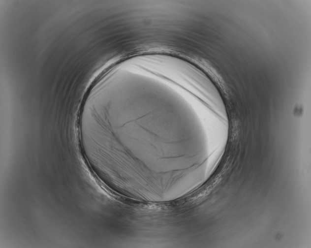 X0000096450806200802211233