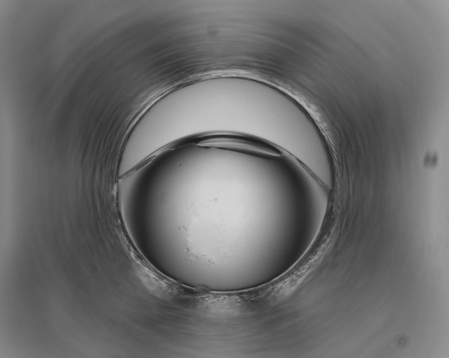 X0000096450809200802211232