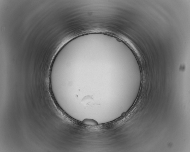 X0000096450810200802211232