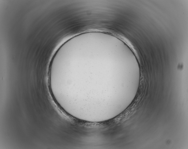 X0000096450811200802211232