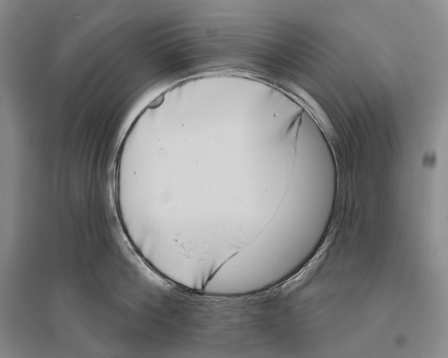 X0000096450812200802211232