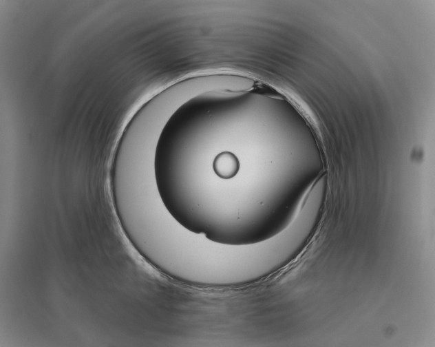 X0000096450813200802211232