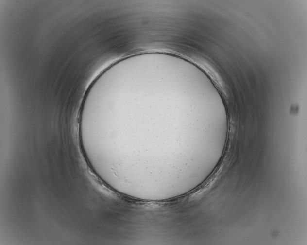 X0000096450814200802211232