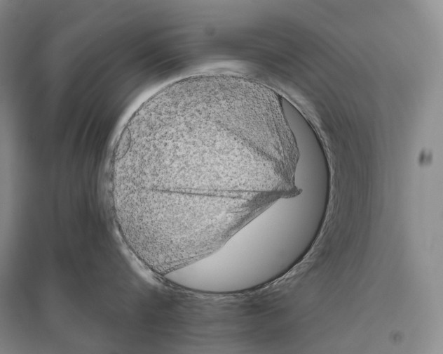 X0000096450816200802211232