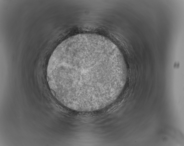 X0000096450817200802211232