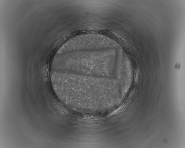 X0000096450818200802211232