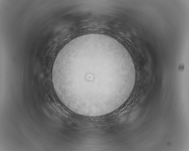 X0000096450820200802211232