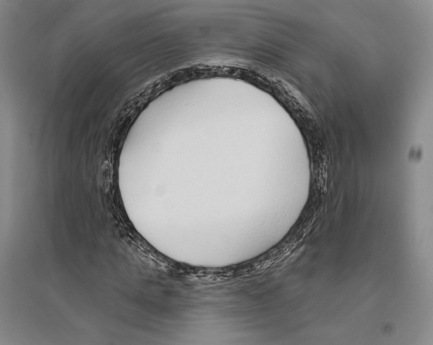 X0000096450821200802211232