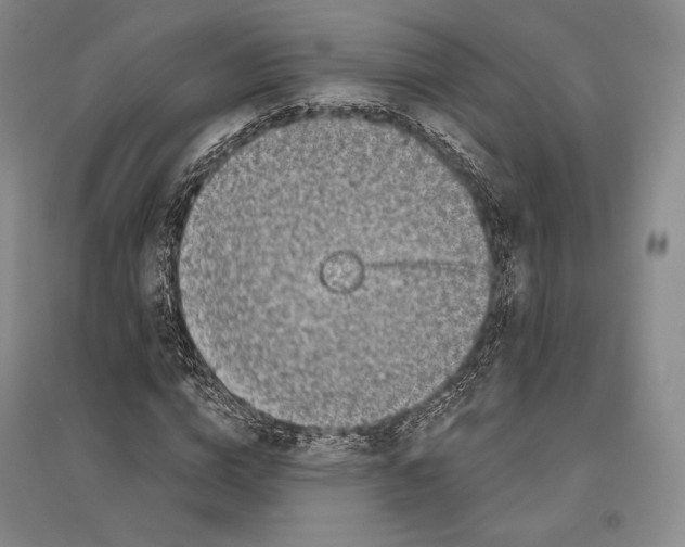 X0000096450824200802211232