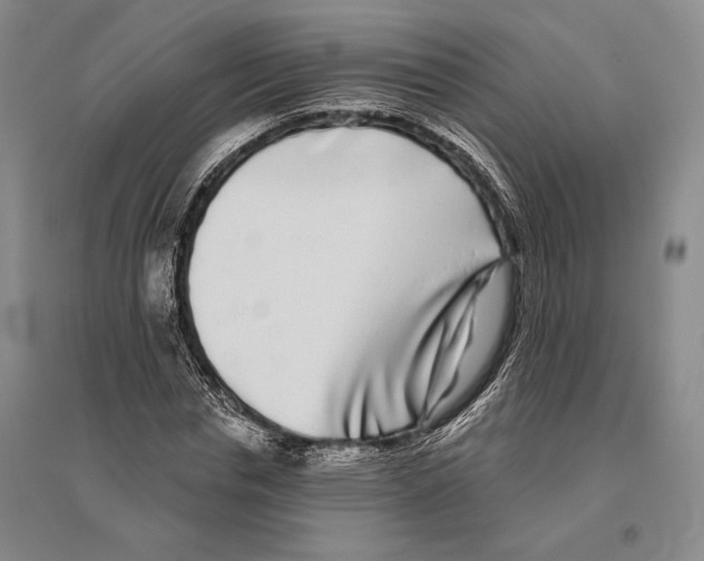 X0000096450826200802211232