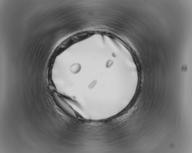 X0000096450830200802211232