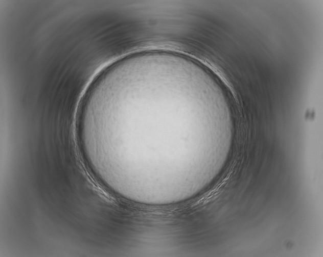 X0000096450832200802211232