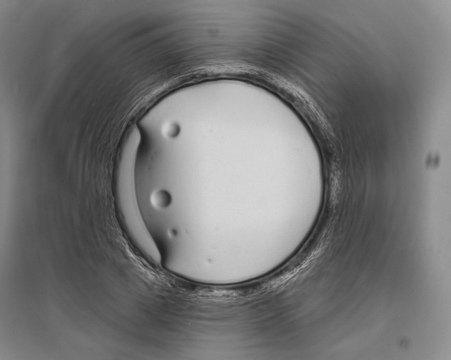 X0000096450833200802211232