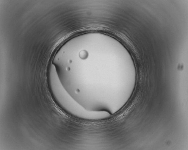 X0000096450834200802211232