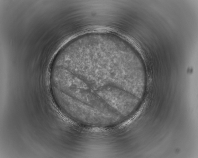 X0000096450835200802211232