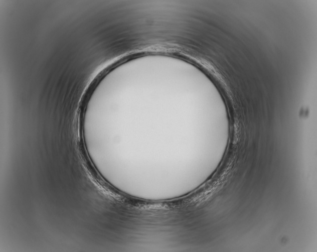 X0000096450838200802211232