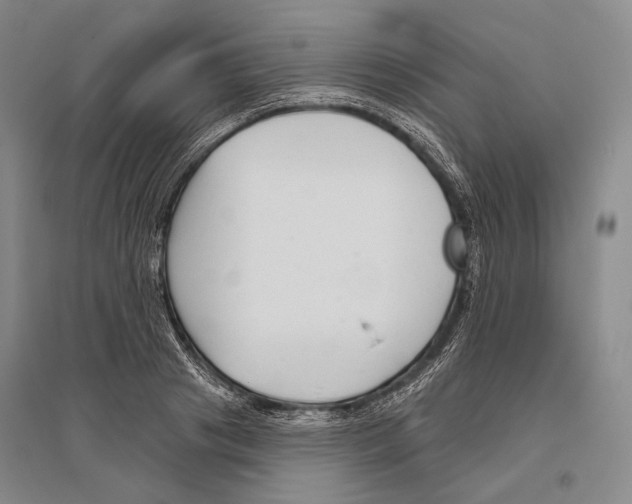 X0000096450841200802211232